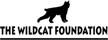 The Wildcat Foundation